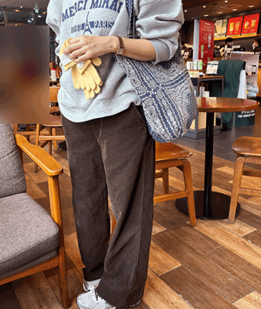 apc soft    corduroy pt (/)